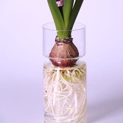 Clear Glass Flowers Vase, Model #4