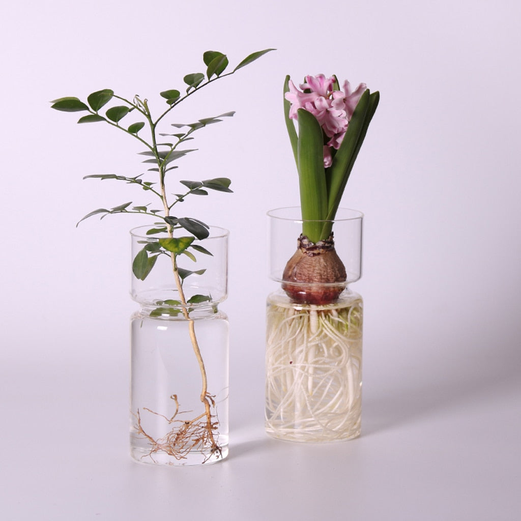 Clear Glass Flowers Vase, Model #4