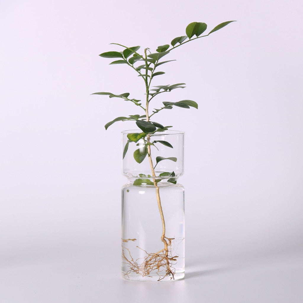 Clear Glass Flowers Vase, Model #4