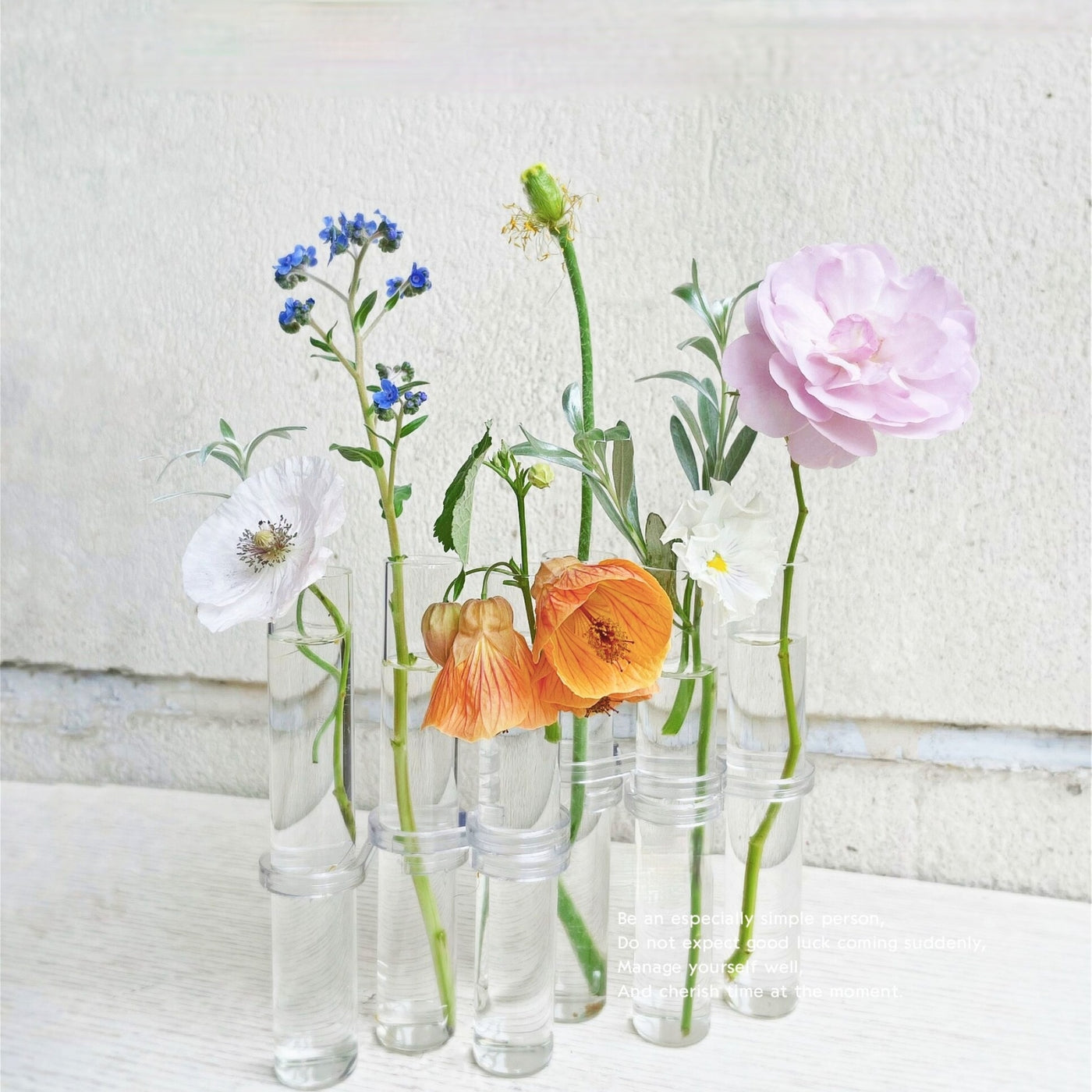 Clear Glass Vase Tubes